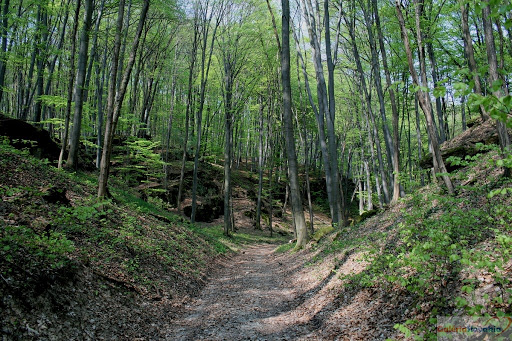 urbariát Drienovec 1