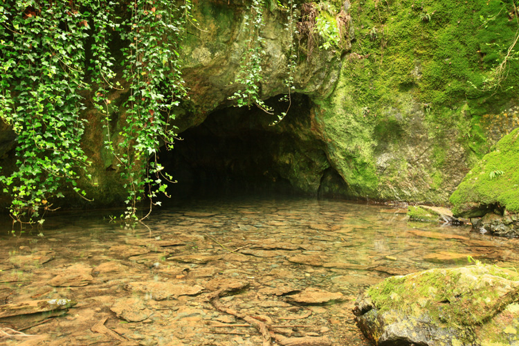 urbariát Drienovec 10
