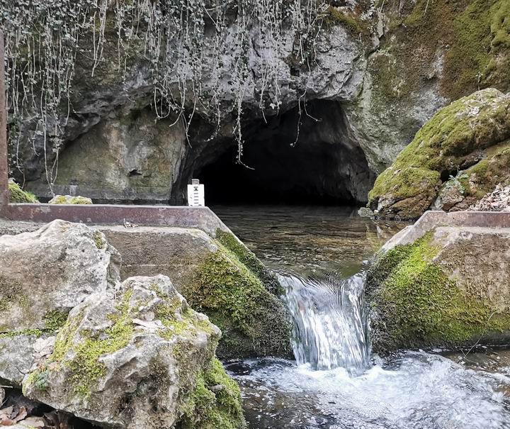  urbariát Drienovec 14