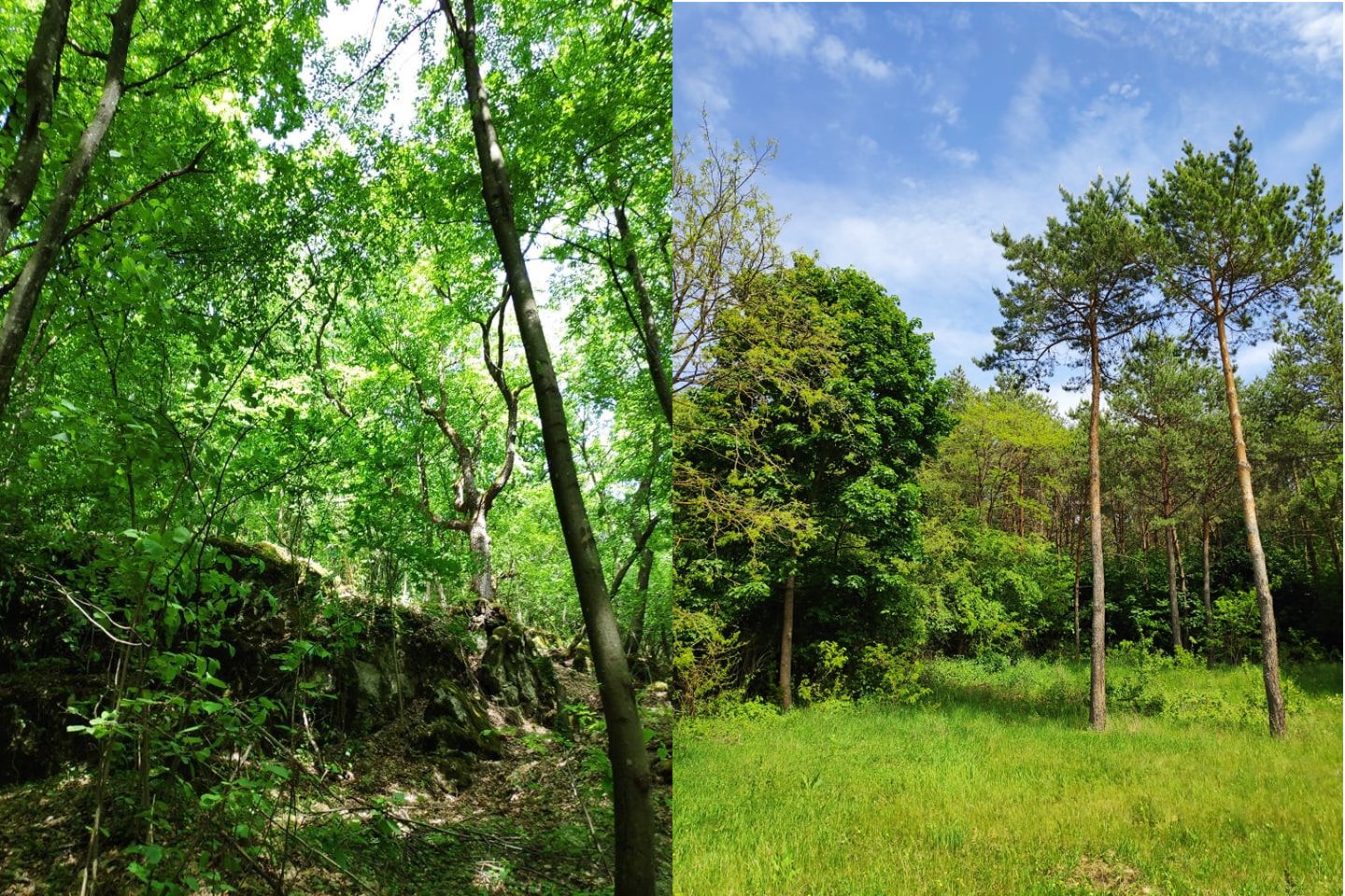 urbariát Drienovec 27