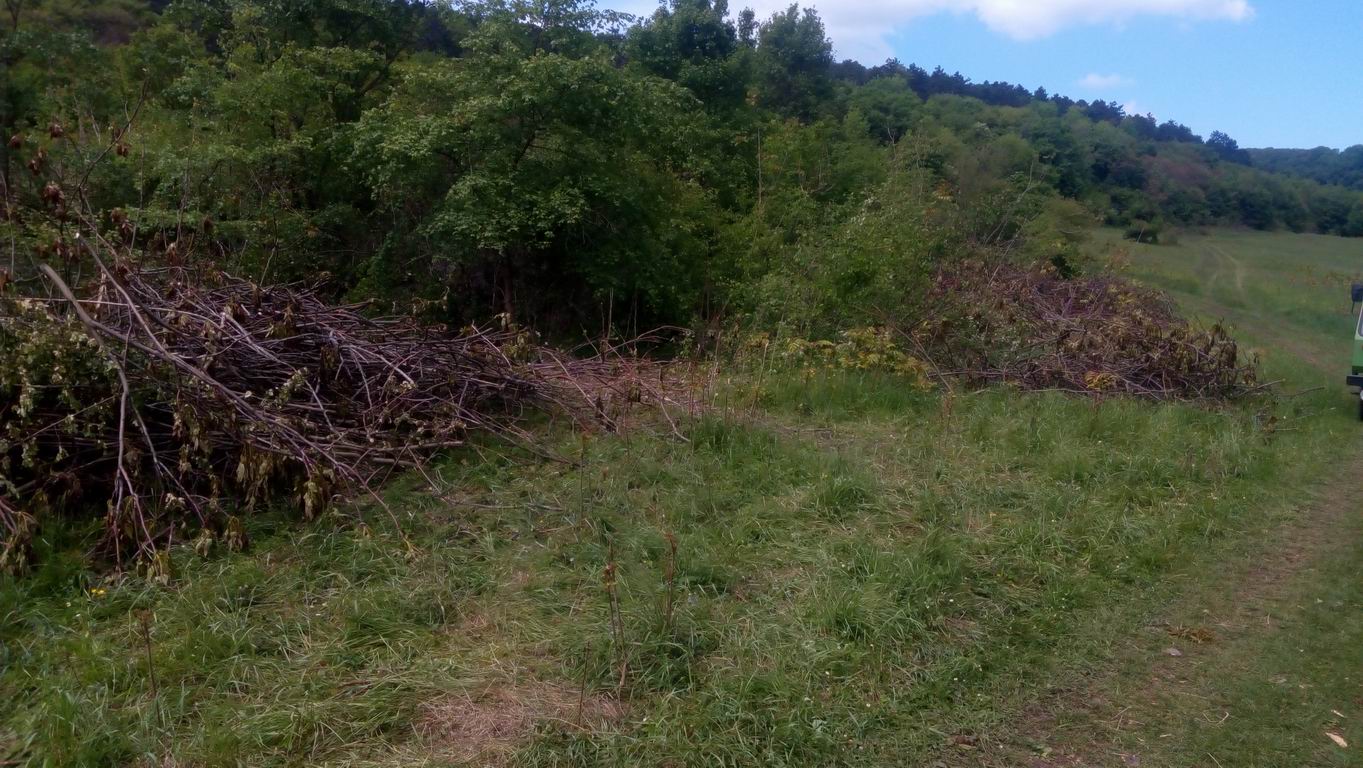 urbariát Drienovec 55