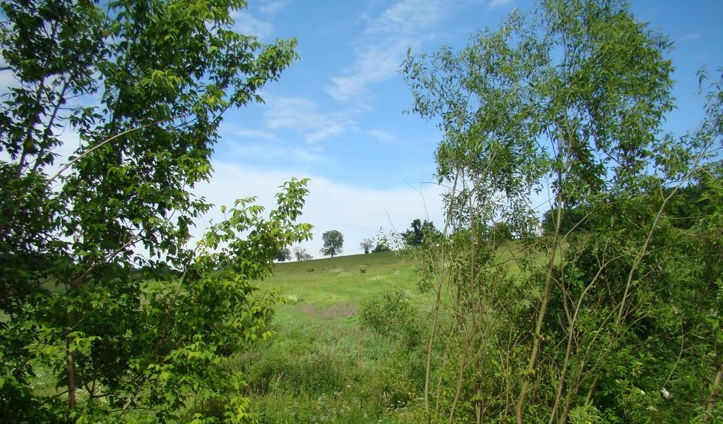  urbariát Drienovec 7