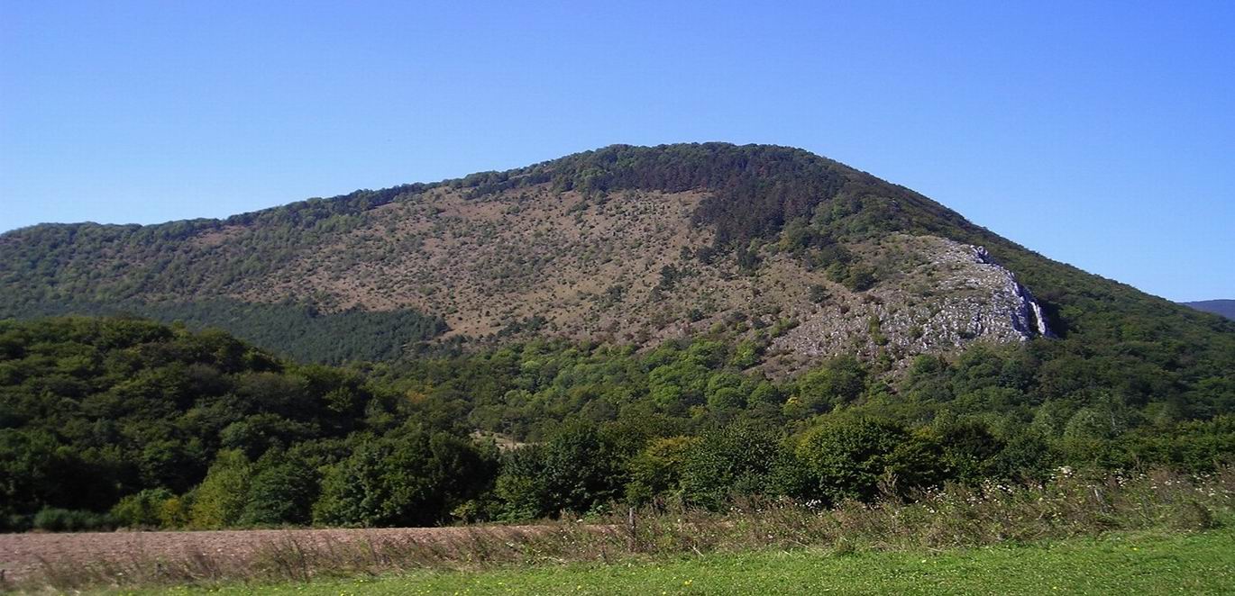 Slideshow Image 2