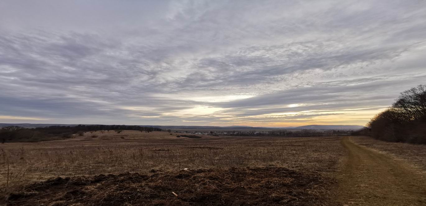 Slideshow Image 5