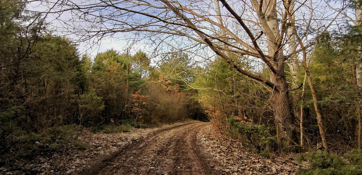 Slideshow Image 3